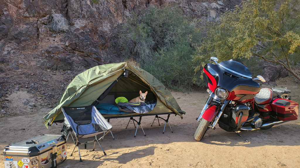 Grand American Camp Touring at the River Island State Park in Parker, Arizona