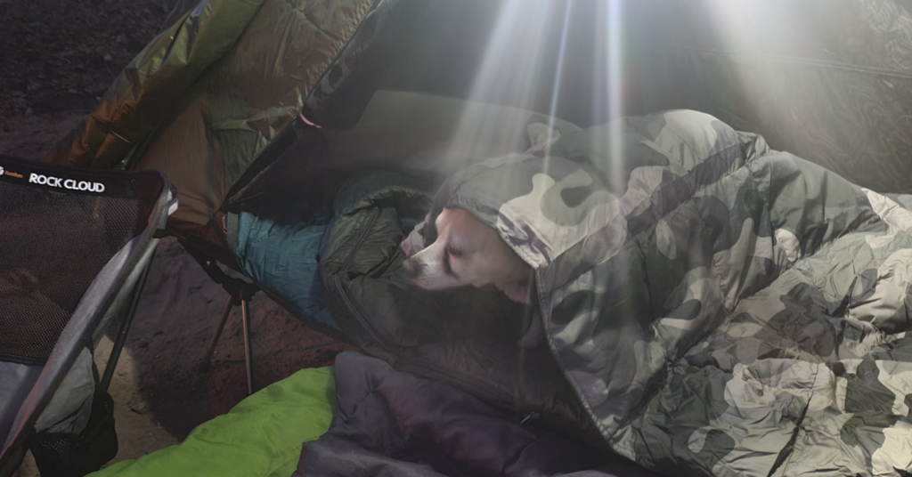 Peanut loves the Get Out Gear Down Camping Blanket