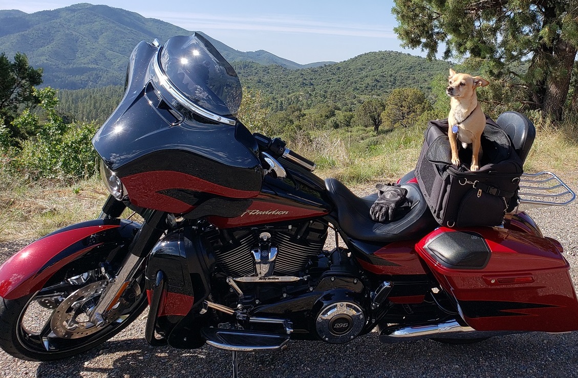 Peanut Rides Prescott National Forrest