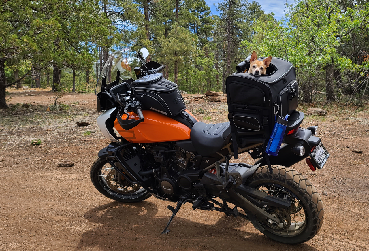 Peanut Rides Mingus Mtn